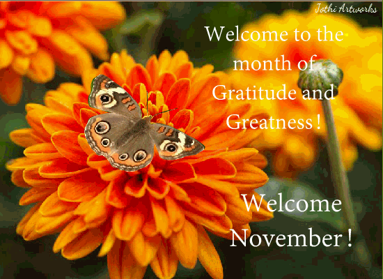 Month Of Gratitude! Free November Flowers eCards, Greeting Cards | 123
