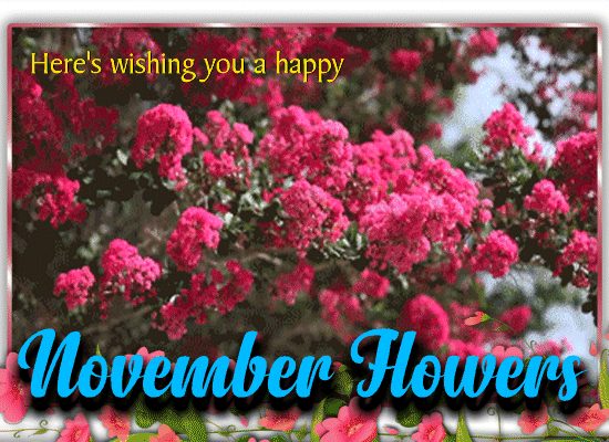 Wishing You A Happy November Flowers.