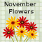 November Flowery Thoughts...