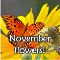 Discover The Charm Of November!