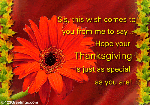 A Thanksgiving Wish For Your Sister... Free Family eCards | 123 Greetings