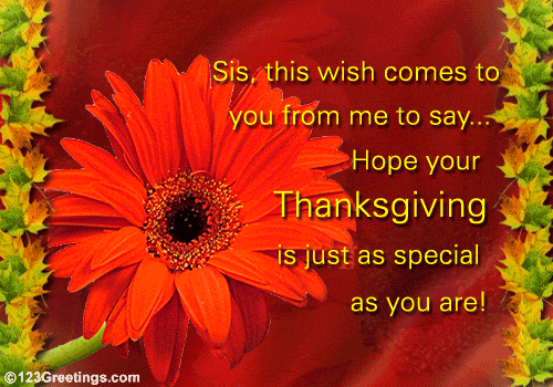 A Thanksgiving Wish For Your Sister... Free Family Ecards | 123 Greetings