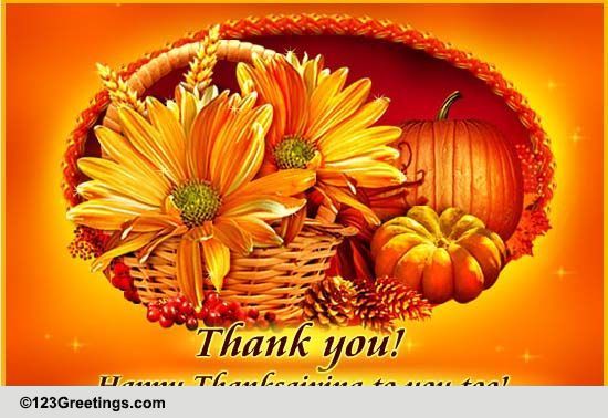 A Warm Thanksgiving Thank You! Free Thank You Ecards, Greeting Cards | 123  Greetings