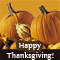 Feeling Of Gratitude.