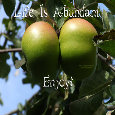Life Is Abundant.