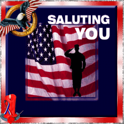 Saluting You On Veterans Day!
