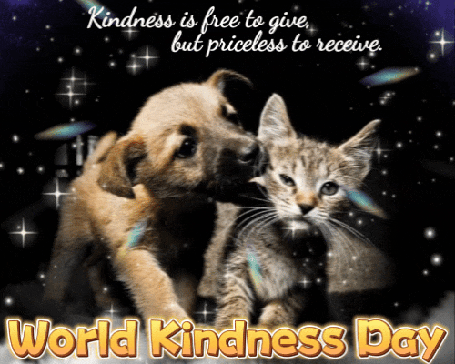 Kindness Is Free To Give.