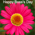 Boss's Day Wish With A Flower.