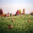 Straw Bales In October.