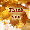 Say Thank You On Thanksgiving.