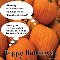 Missing Pumpkin Greeting Cards?