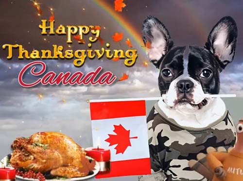 Canada Thanksgiving Ecard For You Free Happy Thanksgiving ECards 123