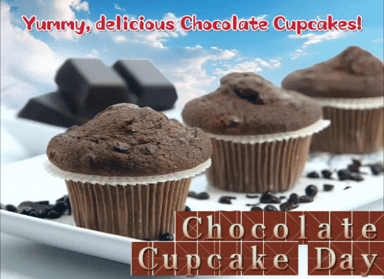 Yummy Delicious Chocolate Cupcakes!