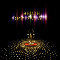 The Festival Of Lights!
