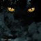 Halloween Black Cat%92s Delight.