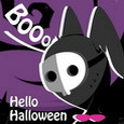 Midnight Zakk Boo.