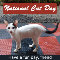 National Cat Day, White Kitten...