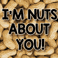 Nuts About You On National Nut Day!