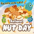 Go Nuts Over Nuts!