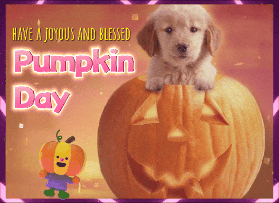 A Joyous And Blessed Pumpkin Day.