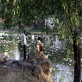 Fishing In The Pond!