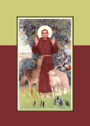 Feast Of St. Francis...