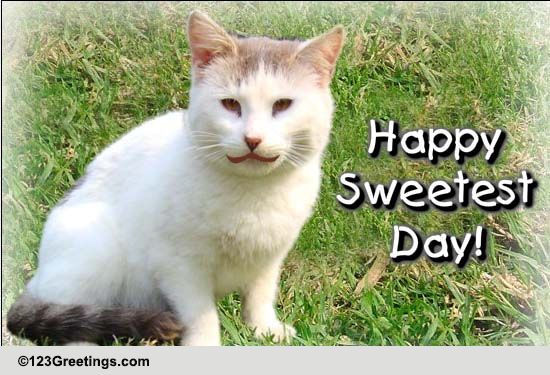 funny-sweetest-day-wish-free-happy-sweetest-day-ecards-greeting-cards