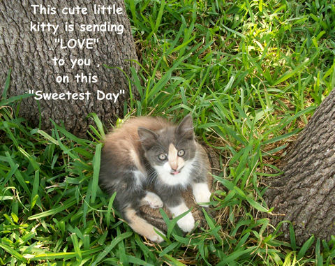 Sweetest Day Love Kitten.