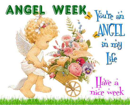 A Cute Angel Week Card For You.