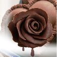 A Chocolate Rose For You!