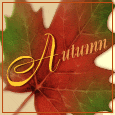 Autumn Reminds Me Of You!