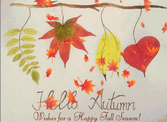 Wishes For Happy Fall!