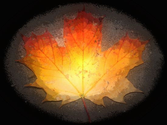 Autumn Light.