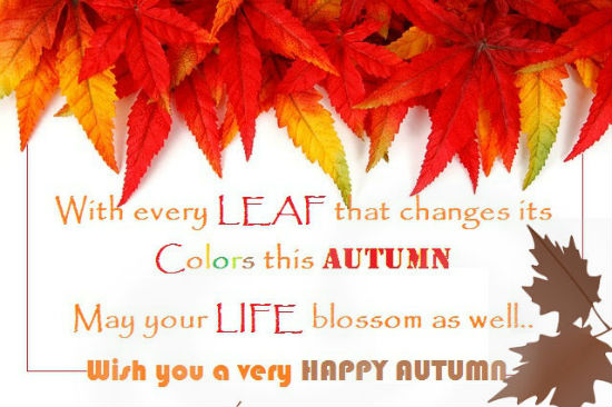 Happy Colors Of Autumn...