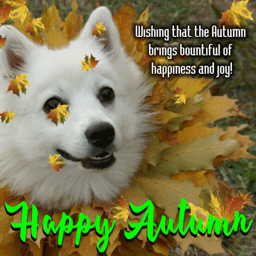 A Happy Autumn Card For You.