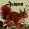 The Beauty Of Autumn.