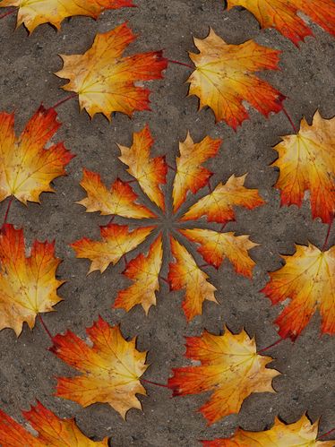 Happy Autumn.