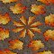 Happy Autumn.