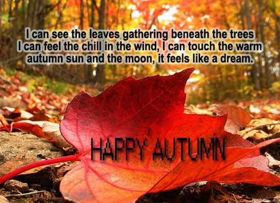 Bildergebnis für Happy Autumn