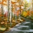 A Sunny Autumn Day.