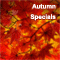 Special Season Of Fall!