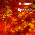 Special Season Of Fall!