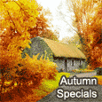 So Special About Autumn...