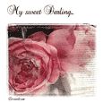 Sweet Thoughts.