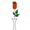 A Rose And You!