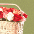 Hiding Inside These Roses Greeting Cards!