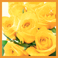 Roses To Say.. Greeting Cards.
