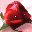 Thinking Of You.. Greeting Cards.