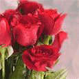 Fresh And Rosy Greeting Cards!