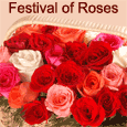 Bunch Of Roses For You!